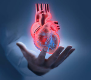 Herzklappen-OP: Herz in der Hand